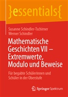 Werner Schindler, Susanne Schindler-Tschirner - Mathematische Geschichten VII - Extremwerte, Modulo und Beweise