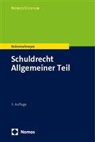 Christoph Brömmelmeyer - Schuldrecht Allgemeiner Teil
