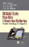Tatiana Kulova, Alexander Miromemko, Alexander Rudy, Alexander Skundin, Alexander Kulova Skundin - All Solid State Thin-Film Lithium-Ion Batteries