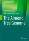 Angel Fernandez i Marti, Pedro Martinez-Gomez, Raquel Sánchez-Pérez - The Almond Tree Genome