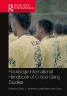 David Gude Brotherton, David Brotherton, Brotherton David, Rafael Gude - Routledge International Handbook of Critical Gang Studies