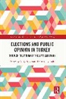 Ali (Koc University Carkoglu, Ali Çarkoğlu, Ersin Kalaycıoğlu - Elections and Public Opinion in Turkey