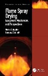 Mariia Sobulska, Mariia Zbicinski Sobulska, Ireneusz Zbicinski - Flame Spray Drying