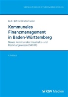 Roland B?hmer, Uwe Beck, Roland Böhmer, Dieter Brettschneider, Dieter u Brettschneider - Kommunales Finanzmanagement in Baden-Württemberg