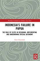 Emir Chairullah, Emir (President University Chairullah - Indonesia''s Failure in Papua