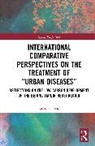Lu Xiaocheng - International Comparative Perspectives on Treatment of Urban