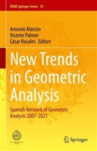 Antonio Alarcón, Vicente Palmer, César Rosales - New Trends in Geometric Analysis