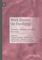 Tindara Addabbo, Edoardo Ales, Ylenia Curzi, Ylenia Curzi et al, Tommaso Fabbri, Olga Rymkevich... - Work Beyond the Pandemic