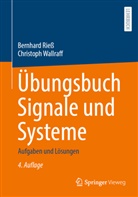 Riess, Bernhard Rieß, Christoph Wallraff - Übungsbuch Signale und Systeme