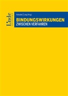 Daniel Blum, Harald Eberhard, Gisela Ernst, Gisela u a Ernst, Alexander Forster, Michael Gleiss... - Bindungswirkungen zwischen Verfahren
