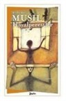 Robert Musil - Hayalperestler