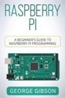 George Gibson - Raspberry Pi