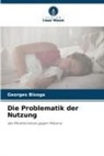 Georges Bisoga - Die Problematik der Nutzung