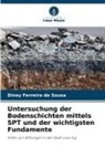Diney Ferreira de Sousa - Untersuchung der Bodenschichten mittels SPT und der wichtigsten Fundamente