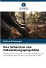 Kaliva Guilavogui - Das Scheitern von Entwicklungsprojekten