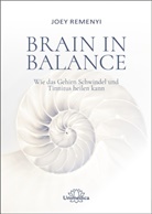 Joey Remenyi - Brain in Balance