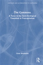 César Rendueles, Cesar (Spanish National Research Counci Rendueles - Commons