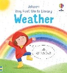 Matthew Oldham, Oldham Matthew, Tony Neal - Very First Words Library: Weather