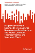 Maksym Barabash, Andrii Kushko, Ana Minitskyi, Anatolii Minitskyi, Andriy Shevchenko - Magnetic Solitons in Extended Ferromagnetic Nanosystems Based on Iron and Nickel: Quantum, Thermodynamic, and Structural Effects