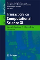 Mark Coates, Mark Coates et al, Helder Rodrigues de Oliveira, Marina Gavrilova, Yaoping Hu, C J Kenneth Tan... - Transactions on Computational Science XL