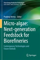 Pradeep Verma - Micro-algae: Next-generation Feedstock for Biorefineries
