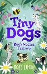 Rose Lihou, Rose Lihou - Tiny Dogs: Bea's Secret Friends