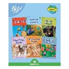 Phonic Books - Phonic Books Dandelion World Stages 8-15