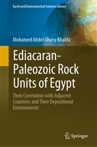 Mohamed Abdel Ghany Khalifa - Ediacaran-Paleozoic Rock Units of Egypt