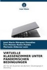 Marisela Aldecoa León, José María Márquez González, Ciro Moi Romo Puebla, Ciro Moisés Romo Puebla - VIRTUELLE KLASSENZIMMER UNTER PANDEMISCHEN BEDINGUNGEN