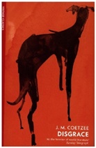 J. M. Coetzee - Disgrace