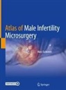 Marc Goldstein - Atlas of Male Infertility Microsurgery