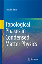 Saurabh Basu - Topological Phases in Condensed Matter Physics
