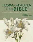 Peter Goodfellow - Flora & Fauna of the Bible