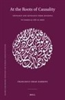 Francesco Omar Zamboni - At the Roots of Causality