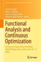 Marco A López-Cerdá et al, José M. Amigó, María J. Cánovas, María J Cánovas, Marco A. López-Cerdá, Manuel López-Pellicer - Functional Analysis and Continuous Optimization