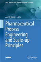 Anil B Jindal, Anil B Jindal, Anil B. Jindal - Pharmaceutical Process Engineering and Scale-up Principles