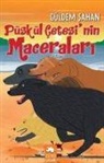 Güldem Sahan - Püskül Cetesinin Maceralari