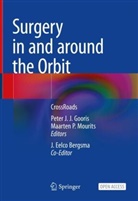 J. Eelco Bergsma, J.Eelco Bergsma, J Eelco Bergsma, Peter J. J. Gooris, Peter J.J. Gooris, Peter J J Gooris... - Surgery in and around the Orbit