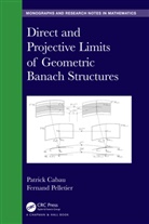 Patrick Cabau, Patrick Pelletier Cabau, Fernand Pelletier - Direct and Projective Limits of Geometric Banach Structures.
