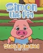 David Gray - Simon the Pig