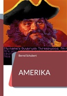 Bernd Schubert - Amerika