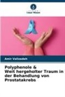 Amir Valizadeh - Polyphenole & Weit hergeholter Traum in der Behandlung von Prostatakrebs