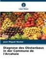 Jean Miguel Nestor - Diagnose des Obstanbaus in der Commune de l'Arcahaie