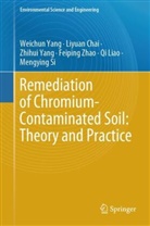 Liyuan Chai, Qi Liao, Mengying Si, Weichun Yang, Zhihui Yang, Zhihui et al Yang... - Remediation of Chromium-Contaminated Soil:  Theory and Practice