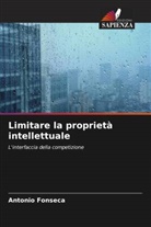 Antonio Fonseca - Limitare la proprietà intellettuale