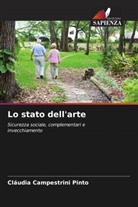 Cláudia Campestrini Pinto - Lo stato dell'arte