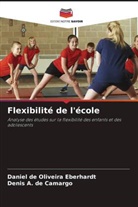 Denis A. de Camargo, Daniel de Oliveira Eberhardt - Flexibilité de l'école
