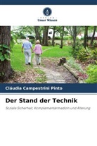 Cláudia Campestrini Pinto - Der Stand der Technik
