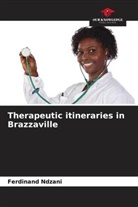 Ferdinand Ndzani - Therapeutic itineraries in Brazzaville
