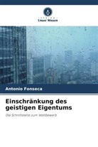 Antonio Fonseca - Einschränkung des geistigen Eigentums